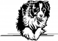 Preview: Agility Australian Shepherd