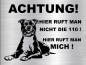 Preview: Hundeschild American Staffordshire Terrier