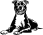 Preview: Autoaufkleber American Staffordshire Terrier