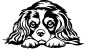 Preview: Aufkleber Cavalier King Charles Spaniel