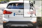 Preview: Autoaufkleber "Französische Bulldogge" Kontur