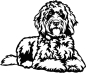 Preview: Aufkleber Golden Doodle