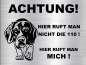 Preview: Hundeschild Beagle