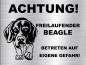 Preview: Hundeschild Beagle