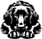 Preview: Aufkleber Flat-coated Retriever Kopf