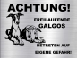 Preview: Hundeschild Galgo