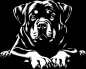Preview: Aufkleber Rottweiler