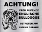 Preview: Hundeschild Englische Bulldogge