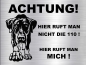 Preview: Hundeschild Dobermann