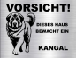 Preview: Hundeschild Kangal