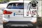 Preview: Autoaufkleber "Mops" Kontur
