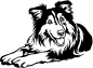 Preview: Aufkleber Collie