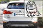 Preview: Autoaufkleber "Zwergspitz (Pomeranian)" Kontur