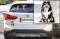 Preview: Autoaufkleber "Sheltie" Kontur