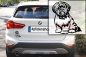 Preview: Autoaufkleber "Bolonka Zwetna" Kontur