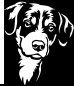 Preview: Aufkleber Appenzeller Sennenhund