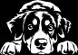 Preview: Aufkleber Appenzeller Sennenhund