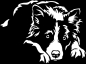 Preview: Aufkleber Border Collie