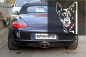 Preview: Autoaufkleber "Australian Cattle Dog" Kopf