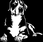 Preview: Aufkleber Großer Schweizer Sennenhund