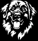 Preview: Aufkleber Leonberger Kopf