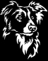 Preview: Aufkleber Border Collie