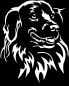 Preview: Aufkleber Duck Rolling Retriever