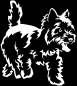 Preview: Aufkleber West Highland Terrier