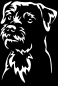 Preview: Aufkleber Border Terrier