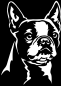 Preview: Aufkleber Boston Terrier