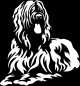 Preview: Aufkleber Briard