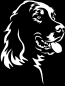 Preview: Aufkleber Irish Setter