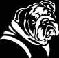 Preview: Englische Bulldogge Kopf