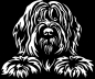 Preview: Aufkleber Briard