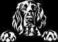 Preview: Aufkleber Irish Setter