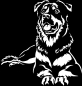 Preview: Aufkleber Beauceron