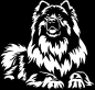 Preview: Aufkleber Eurasier