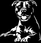 Preview: Aufkleber American Staffordshire Terrier