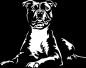 Preview: Autoaufkleber American Staffordshire Terrier