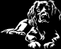 Preview: Aufkleber Boykin Spaniel