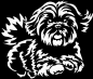 Preview: Aufkleber Shih-Tzu