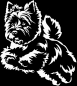 Preview: Aufkleber Cairn Terrier