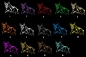 Preview: Autoaufkleber "Australian Cattle Dog" Kontur