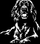 Preview: Aufkleber Springer Spaniel