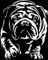 Preview: Aufkleber Englische Bulldogge