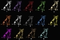 Preview: Autoaufkleber "Jack Russell Terrier" Kontur
