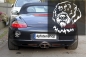 Preview: Autoaufkleber "Cesky Fousek"  (Böhmisch Rauhbart) Kopf