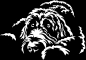 Preview: Aufkleber Labradoodle