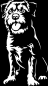 Preview: Aufkleber Border Terrier