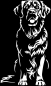 Preview: Aufkleber Golden Retriever